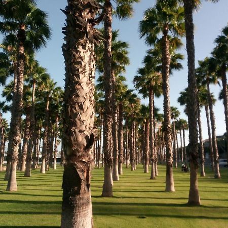 Apartamento Garland Agaete Parque Πλάγια ντελ Ινγκλές Εξωτερικό φωτογραφία